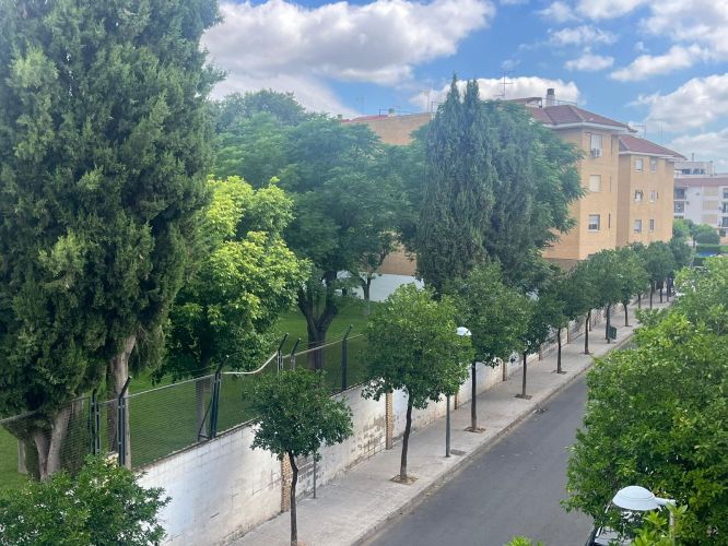 MARAVILLOSO PISO JUNTO AL COLEGIO EL CARMEN