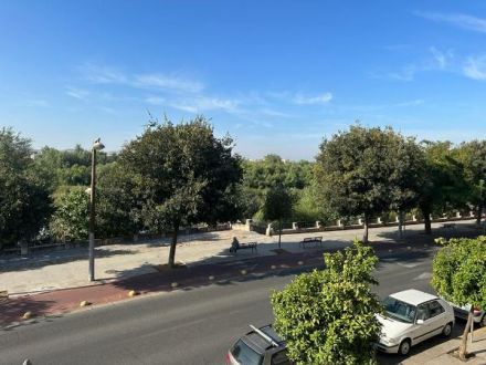 PISO EN PASEO DE LA RIBERA DE VPO