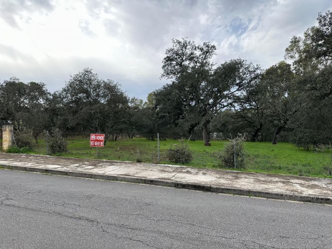 4 PARCELAS URBANAS EN EL MURIANO