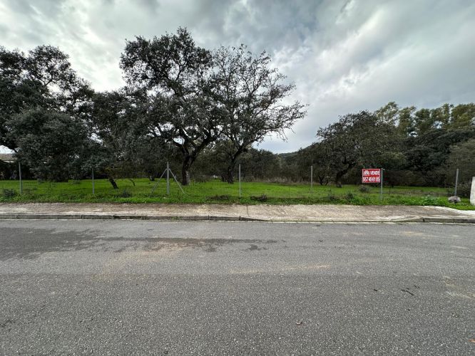 4 PARCELAS URBANAS EN EL MURIANO