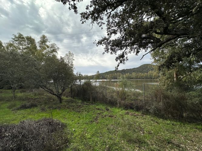 4 PARCELAS URBANAS EN EL MURIANO