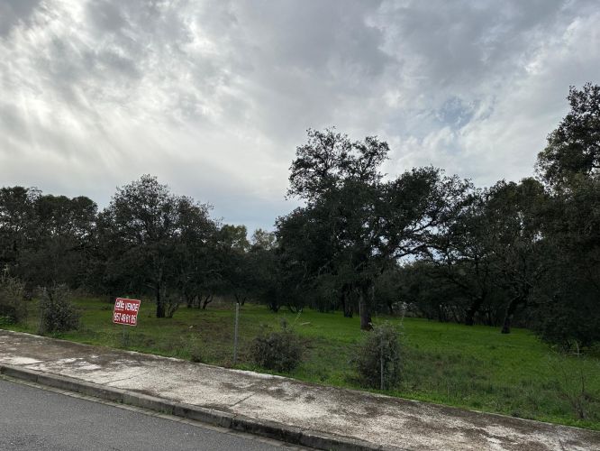 4 PARCELAS URBANAS EN EL MURIANO